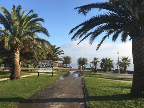 Appartement Avec Piscine Argelès-sur-Mer Eksteriør bilde